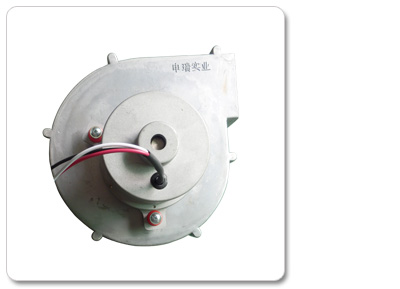 ��������F�������L�C